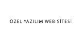 Özel Yazılım Websitesi