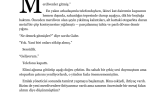 Abby Jimenez Kısa Roman (Novella) Çevirisi