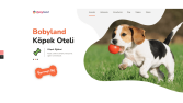 Bobyland Web Tasarımı