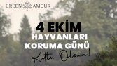 Özel Gün Tasarımları