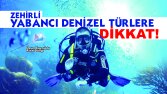 50x70 Poster & Afiş