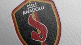 Şişli Anadolu Lisesi Basketbol Takımı Arma Tasarımı