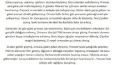 ozgurbakrac adlı alıcı için yazdığım masaldan alıntı