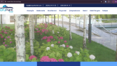 Konsept web sitesi çalışmaları