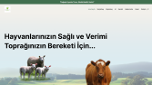 Bir kurumsal web sitenin daha sonuna yaklaştık