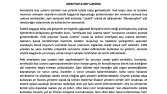 SEO'ya Uygun Metin Yazarlığı