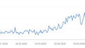 SEO Performans Özeti