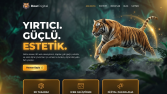 Son derece dikkat çekici ve alışılmışın dışında web siteleri