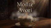 MONTE AVORI - WEBSİTE TASARIMI