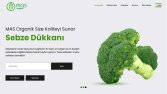 MAS Organic Sitesi Yapımı