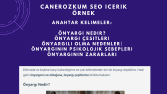 SEO Uyumlu İçerik Çalışması - 4