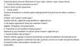 Metin Düzenleme