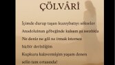 Etkili Şiir ve Blog yazıları 