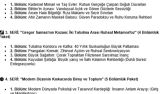 Ben psikoloji tasavvuf eğitim odaklı makale serisi yaparım