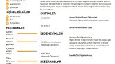 Göz Alıcı Cv Tasarımları 