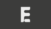 fe logo