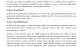 Stoksuz E-Ticaret Nedir? Seo Uyumlu Makale