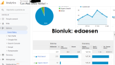Google Ads Analytics Sonuçları