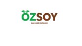 Logo Tasarımı 