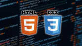 Web sitesi tasarımları