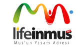 Logo Tasarımlarım