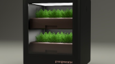 Interior Gardening
