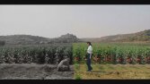 Tanıtım Filmi (Yaptığım bir iş)