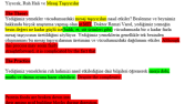 Çeviri uyarlaması