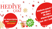 Web Sitesi Çalışmaları