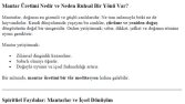 Mantar Üretimiyle Spiritüel Bir Yolculuk