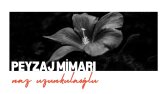 Peyzaj Mimarı
