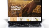 Web Site 