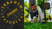 firma logo tasarımı