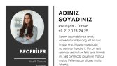 Profesyonel CV Örneği-4