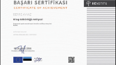 Editörlük