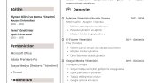 Cv - Özgeçmiş Örneği