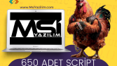 Web Sitesi Tasarımı Script Arşivi