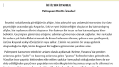 Palimsest İstanbul
