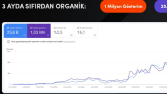 Profesyonel Seo Hizmeti