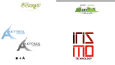 FYZ LOGO DESIGN