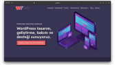 WP Site Tasarımlarım