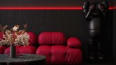 Black and Red house