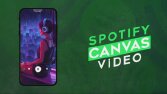 SPOTIFY CANVAS