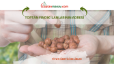Fındık üreticilerine özel içerik