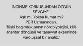 Nörobiyolojiden Tasavvufa: Özgür Sevebilme Sanatı