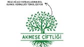 Bazı Logo Tasarımlarım