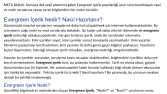 Duende Medya - SEO Uyumlu Metin Yazarlığı