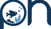 puregraph portfolyosu 3