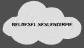 rumeysayldrm1 portfolyosu 4