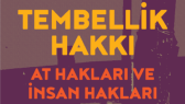 ilhanaksu5311 portfolyosu 2